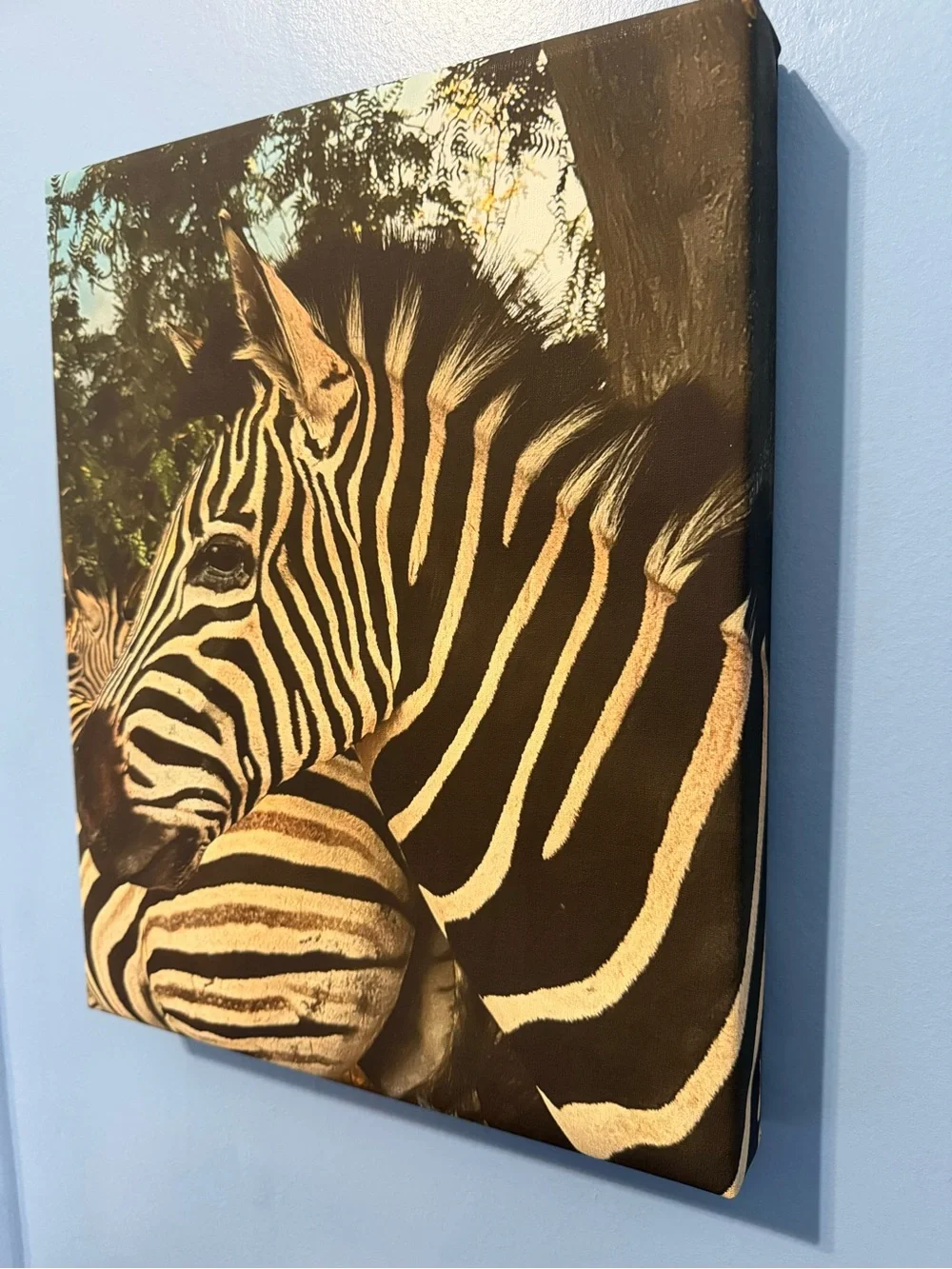 Original Canvas Wall Art - “Zebra Love” - 11 x 14